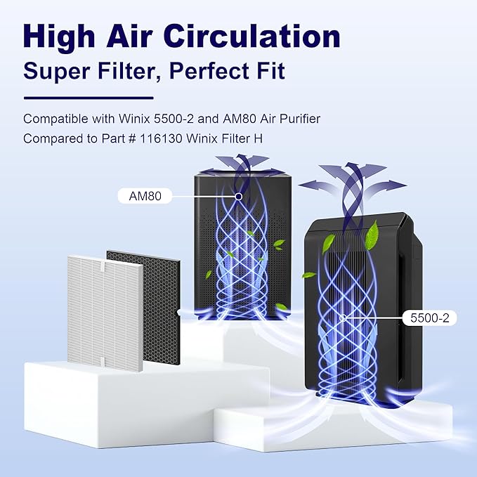 116130 Replacement Filter H for Winix 5500-2 AM80 Plasmawave Air Purifier, True HEPA Filter and Activated Carbon Filter Combo Pack, 2 Set