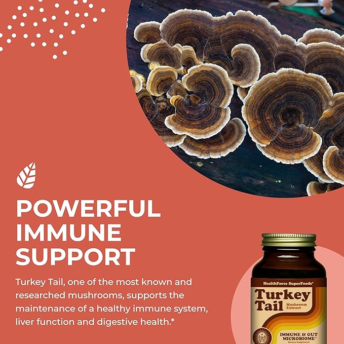 HealthForce SuperFoods Turkey Tail - Powder - 65 Grams