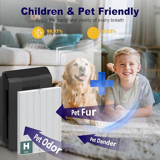 116130 Replacement Filter H for Winix 5500-2 AM80 Plasmawave Air Purifier, True HEPA Filter and Activated Carbon Filter Combo Pack, 3 Set