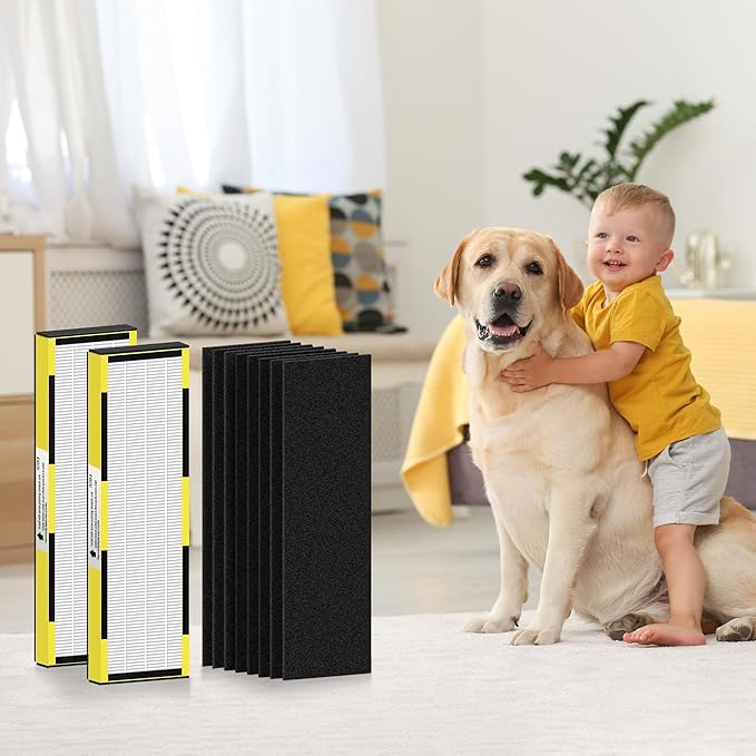 FLT4825 HEPA Filter B Replacement for Guar.dian Air Purifier AC4825 AC4300 AC4800 AC4900 AC4850, 2 HEPA Filter and 8 Pre-Filter by NISHCON