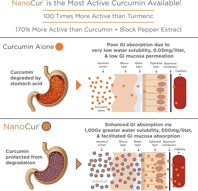 Turmeric Curcumin - 100x More Active Than Turmeric, 170% More Active Than Curcumin + Black Pepper Extract. Joint Support, Relief, and Energy You’ll Feel. Organic Curcumin/Plant-Based Carrier.