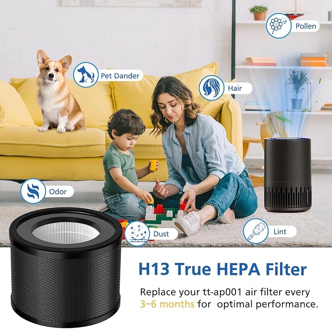 2 Pack HEPA Replacement Filter, Compatible with TaoTronics TT-AP001 and VAVA VA-EE014, 3-in-1 HEPA and Activated Carbon Filter