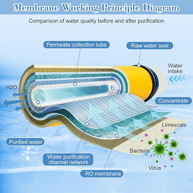 XLE-4040, XLE 4040 Reverse Osmosis Membrane for DOW Filmtec Membrane Replacement, 4 x 40 RO Membrane for Desalination, Commercial, Industrial, NSF Certified, Salt Rejection 99%, 2600GPD