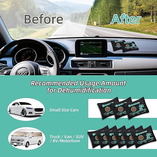 100g x 5pcs Rechargeable Desiccant Packs, Reusable Car Dehumidifier Bags Color Indicating Silica Gel Packets Moisture Absorbers for Storage Bins, Suitcase, Safe, 3D Filaments, Electronics