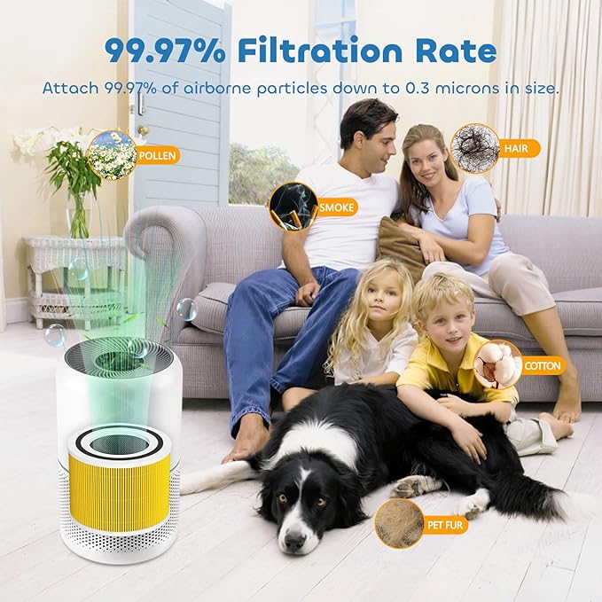 Core 300 Pet Care Replacement Filter for LEVOIT Core 300/ Core 300S/ Core 300-P/Core 300S-P Air Purifi-ers, 3-IN-1 H13 True HEPA Filter, Compared to Part# Core 300-RF, Yellow (2 Pack)