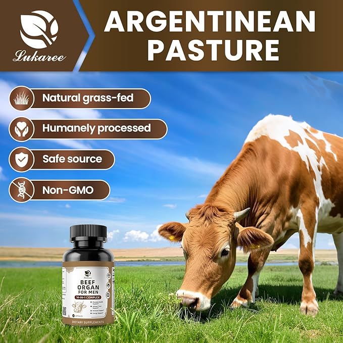 Beef Organ Supplement for Men, 14-in-1 Complex - Beef Liver, Kidney, Heart, Saw Palmetto, Chanca Piedra, Supports Prostate Health, Overall Wellness - Grass Fed & Pasture Raised - 120 Capsules