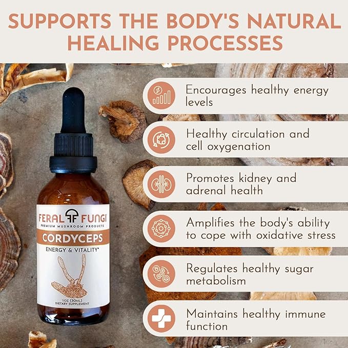 Cordyceps Extract – Triple-Extracted Spagyric Tincture for Energy and Endurance – 100% Fruiting Body – Natural Flavor – Grown and Made in The USA – 1oz
