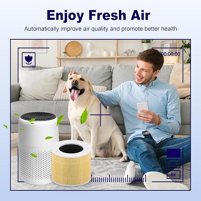 Core Mini Pet Care Replacement Filter for LEVOIT Core Mini and Core Mini-P Air Purifier, 3-in-1 H13 True HEPA High-Efficiency Activated Carbon, Core Mini-RF-PA, 6 Filter & 10 Fragrance Sponge, Yellow