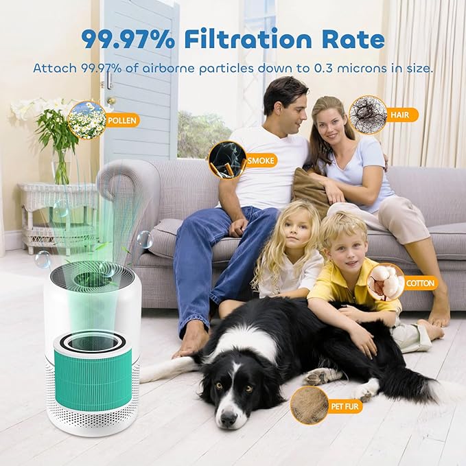 Core 300 Replacement Filter for LEVOIT Core 300 Core300-P Core 300S Core 300S/P VortexAir Air Purifier, Core 300-RF, 3-in-1 H13 Grate True HEPA Activated Carbon, 2 Pack, Green,Core 300-P