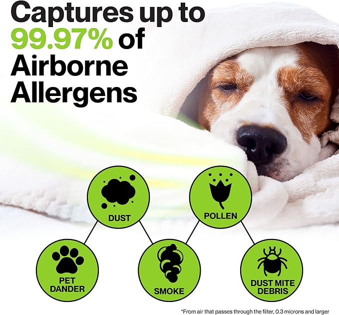 Durabasics 3 HEPA Filter Set for HPA300 Honeywell Air Purifier Filters & Honeywell HPA300 - Compatible with Air Purifier Replacement HPA 300 - Replacements for Filter R & HPA 300 Filter