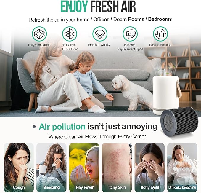 2 Pack Air Mini Replacement Filters Compatible with Molekule Air Mini & Air Mini+ Air Purifiers, PECO-HEPA Tri-Power 3-in-1 High-Efficiency True HEPA Replacement Filter (Green, 2 Pack)