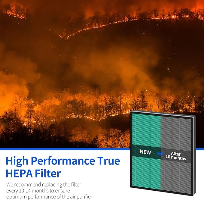 250/250S Replacement Filters for Coway AIRMEGA Max2 250 250S Smart Air Purifier, Max 2 Green True HEPA and Activated Carbon Filter Set, AP-1720-FP 2 Pack