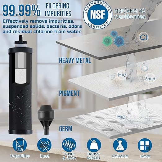 304 Stainless Steel Water Filter with Stand, Gravity Fed Water Filtration System, 2.25 Gallon Capacity with 2 Black Carbon Cartridges, Countertop Purifier for Home, Camping, Emergency Use