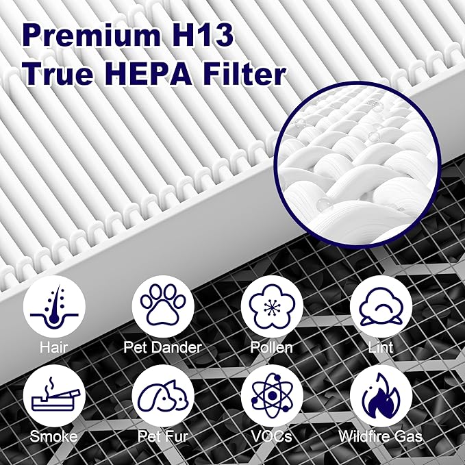 116130 Replacement Filter H for Winix 5500-2 AM80 Plasmawave Air Purifier, True HEPA Filter and Activated Carbon Filter Combo Pack, 4 Set