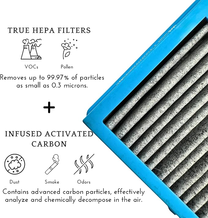 Nispira AER1 Filter Replacement for Holmes Air Purifier HAPF30AT HAP242-NUC, True HEPA Carbon Infused Odors Dust VOCs Remover, 2 Packs 1.2 x 10 x 4.6 Inches