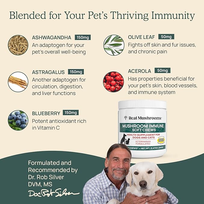 Real Mushrooms Soft Chews for Pets – Functional Treats with Reishi, Olive Leaf, Ashwagandha Blend – Cats & Dogs Vitamin Bites– Mushroom Supplement for Dogs & Cats Wellness Support, 60 Count