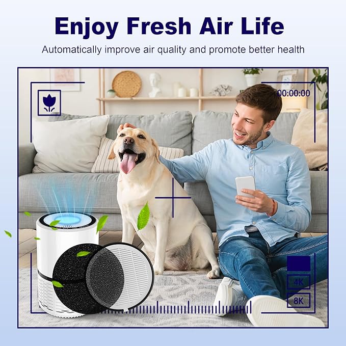 LV-H132 Replacement Filter for LEVOIT LV-H132 Air Puifier, 3-in-1 Nylon Pre-Filter, H13 True HEPA Filter, High-Efficiency Activated Carbon Filter, Part # LV-H132-RF, 4 Pack