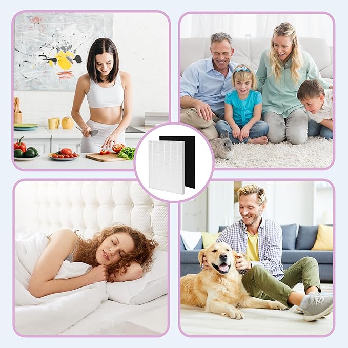 D360 Replacement Filter D3 for Winix D360 Air Purifier,Item Number 1712-0101-02. 2 True HEPA(H13) Filter + 8 Carbon pre-filters