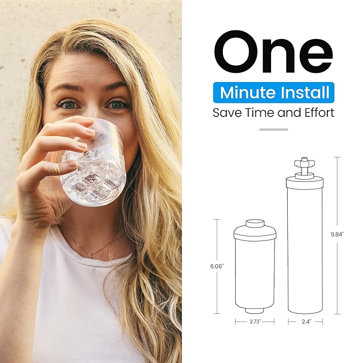 Filterlogic NSF/ANSI 372 Certified Water Filter, Replacement for Berkey® Black Filters (BB9-2®) & Fluoride Filters (PF-2®) Combo Pack