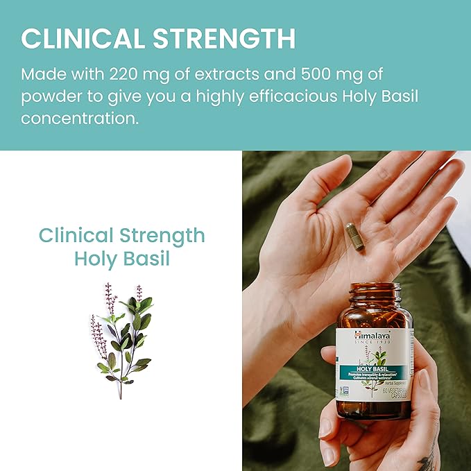 Himalaya Holy Basil, 30 Day Supply - Herbal Adrenal Support for Stress Relief, Relaxation, Energy Support and Occasional Sleeplessness - Vegan, Non-GMO, Gluten Free, 720 mg, 60 Capsules