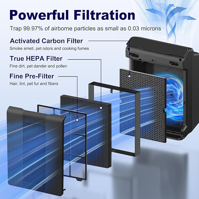 116130 Smoke Remover Replacement Filter H for Winix 5500-2 AM80 Plasmawave Air Purifier, True HEPA Filter and Activated Carbon Filter Combo Pack, 2 Set, Black