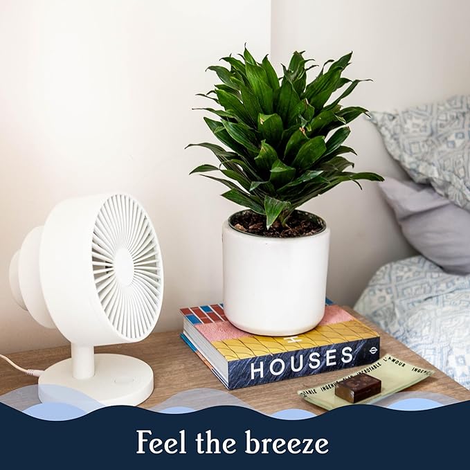 Windmill NEW to Amazon Smart Air Circulator and Fan with Remote and Wi-Fi/App - 18 dB Whisper-Quiet plus Tri-Layer Airflow - Marine Color