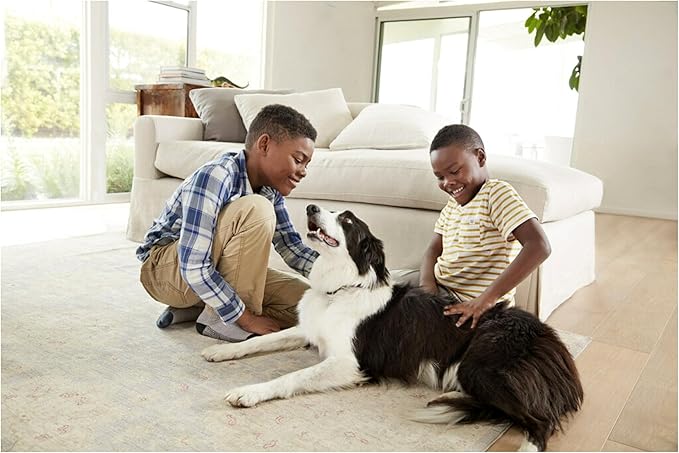 Filtrete 20x24x1 AC Furnace Air Filter, MERV 12, MPR 1500, CERTIFIED asthma & allergy friendly, 3 Month Pleated 1-Inch Electrostatic Air Cleaning Filter, 6-Pack (Actual Size 19.81x23.81x0.78 in)