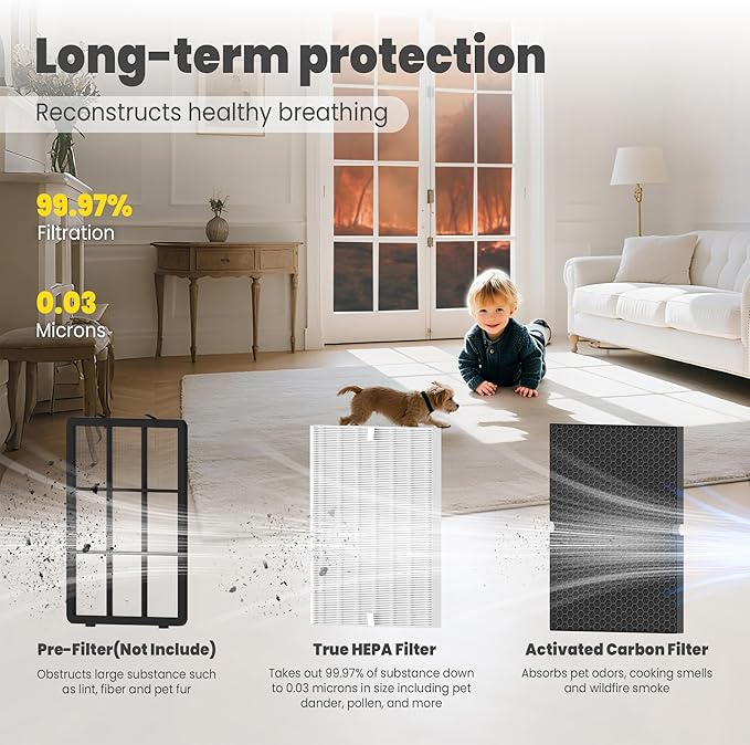 116130 Replacement Filter H for Winix 5500-2 AM80 Plasmawave Air Purifier, Includes 3 Pack True HEPA Filter and 3 Pack Activated Carbon Filter