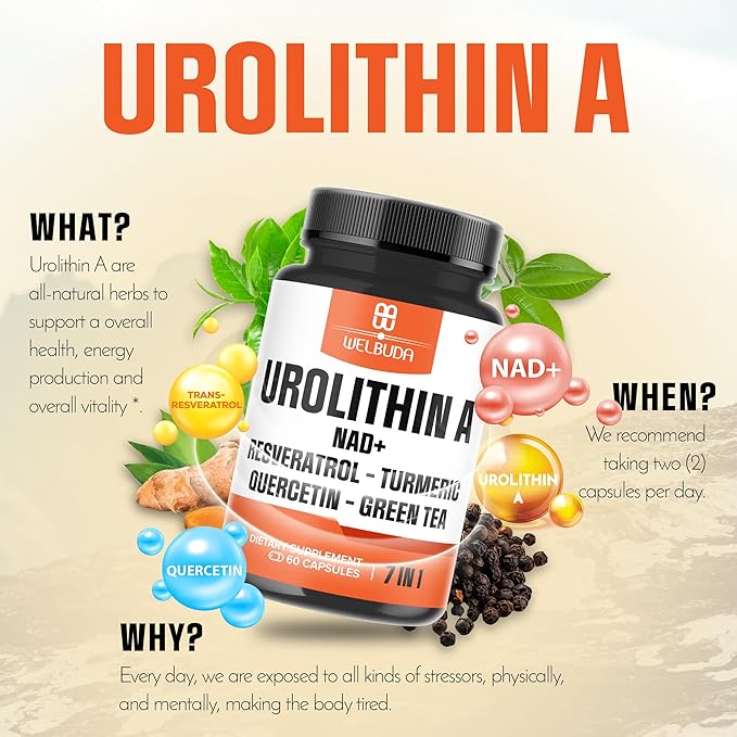 7in1 Urolithin A Capsules 500mg with NAD+, Resveratrol, Curcumin and Quercetin Supplement for Men Women - 60 Capsules - 30 Days Supply