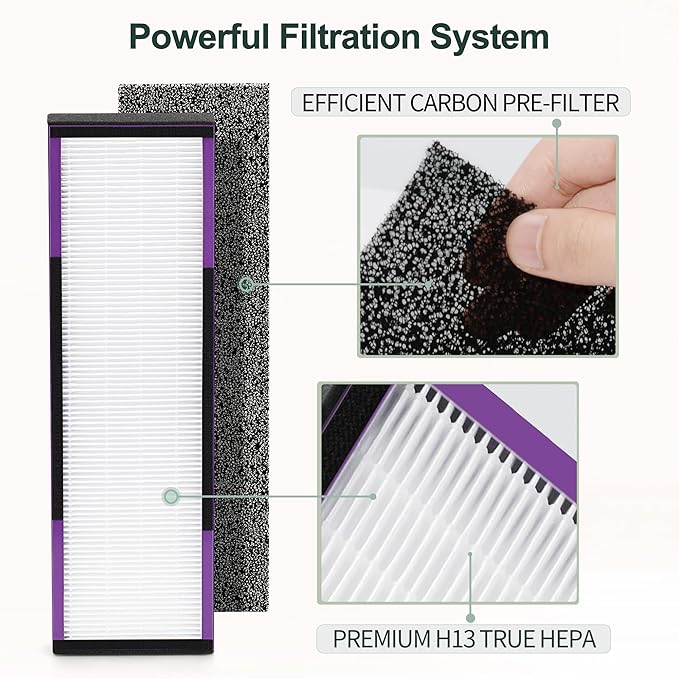 FLT4850PT HEPA Filter B Replacement Compatible with Guardian Technologies Filter B for Models AC4850PT, AC4825, AC4300BPTCA, CDAP4500BCA, AC4820, AC4900 and More, 2x H13 HEPA + 6x Pre-Filters