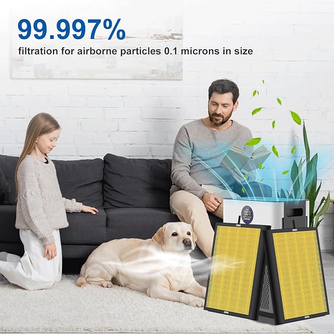 AP303 AP304 Replacement Filter, Compatible with DAYETTE AP303 AP304 and FRESHDEW AP303 AP304 Air Cleaner Puri-fier, HEPA Filter with 3 Stage Filtration, 2 Pack