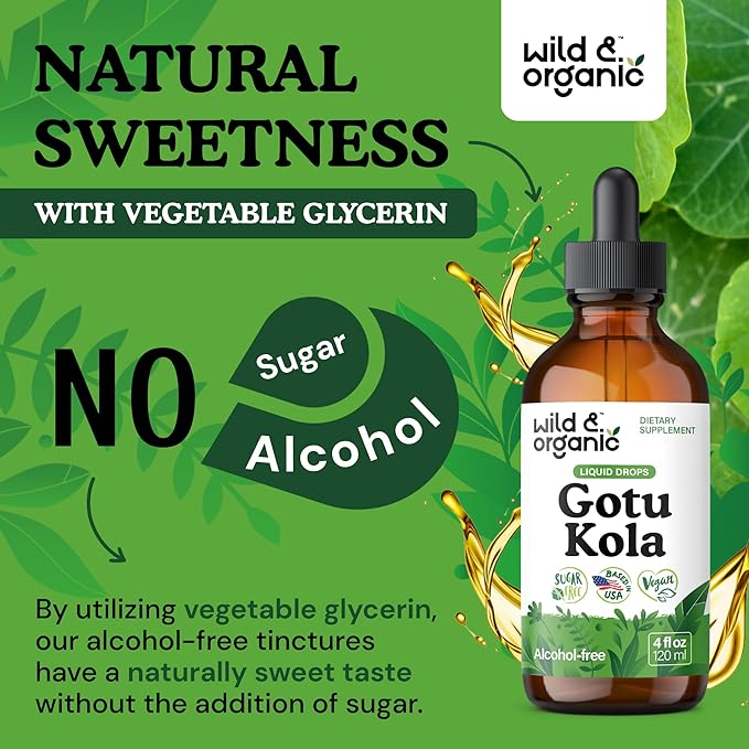 Wild & Organic Gotu Kola Extract Drops - Brain Support with Centella Asiatica Extract - Liquid Gotu Kola Supplement for Focus - Vegan, Sugar & Alcohol-Free Herb Tincture - 4 fl oz