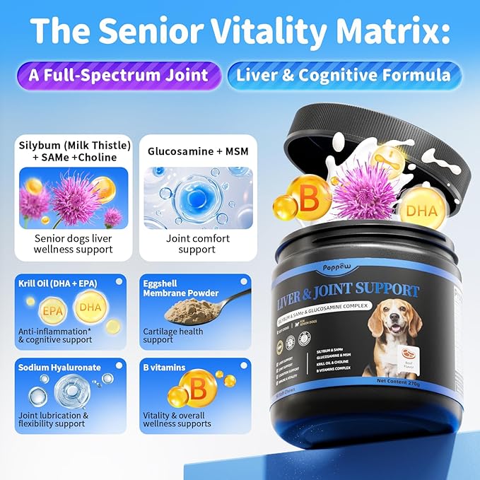 Liver Health Supplement for Senior Dogs - Joint Health Support with Silybum Marianum, Same, Krill Oil, Glucosamine, B Vitamins Complex, MSM, Choline for Old Dogs, Beef Flavor - 90 Soft Chews