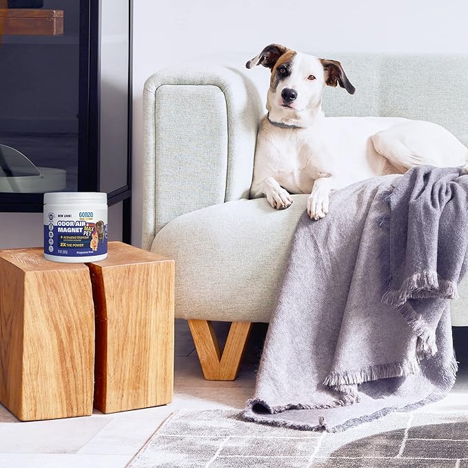 Gonzo Natural Magic Air Activated Charcoal - 2 Pack - for Litter Boxes Cages and Pet Beds 14 Ounce