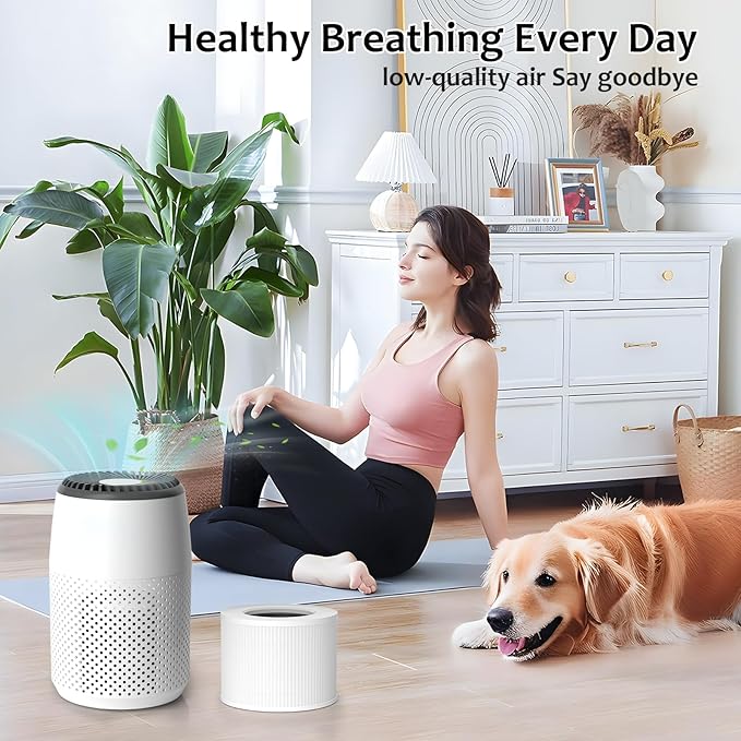 Core Mini Replacement Filter Compatible with LEVOIT Core Mini P Air Purifier, 3-in-1 High-Efficiency H13 True HEPA Activated Carbon Filter, Replace Part #Core Mini-RF, 4 Filter & 14 Fragrance Sponge