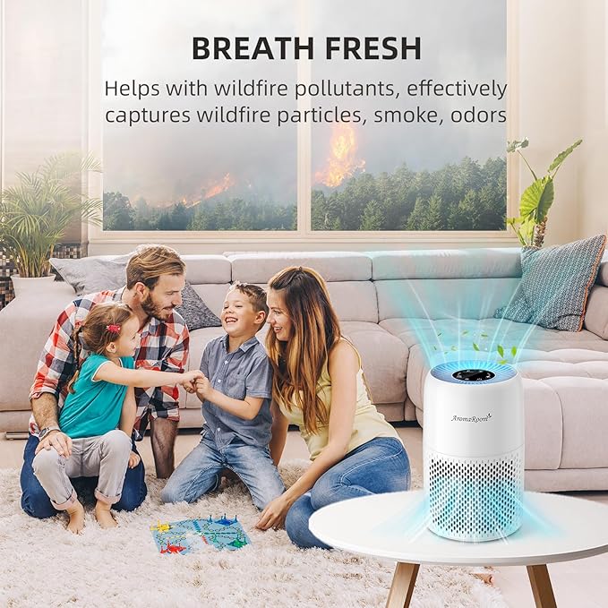 AromaRoom Air Purifiers for Bedroom with True HEPA13 Filters 3-in-1, Pet Air Purifier with Aroma Pad for Wildfires Smoke Pollen Dander, 22dB Quiet Air Cleaners for Baby Room Office Dorm
