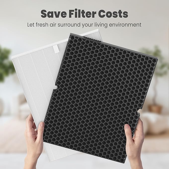 116130 Replacement Filter H for Winix 5500-2 AM80 Plasmawave Air Purifier, Includes 2 Pack True HEPA Filter and 2 Pack Activated Carbon Filter