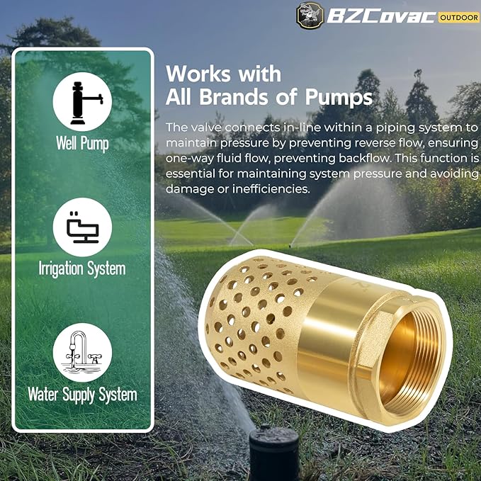 2-Inch Brass Foot Valve with Mesh Strainer, Universal One-Way Female NPT Check Valve with Backflow Prevention, Lead-Free Brass Construction for Irrigation and Water Pump Systems