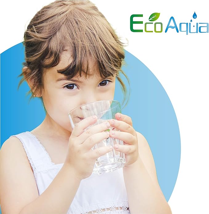 EcoAqua EFF-6005 Replacement for LG® LT500P®, ADQ72910901, 5231JA2002A, Kenmore GEN11042FR-08, 9890, 46-9890 Refrigerator Water Filter