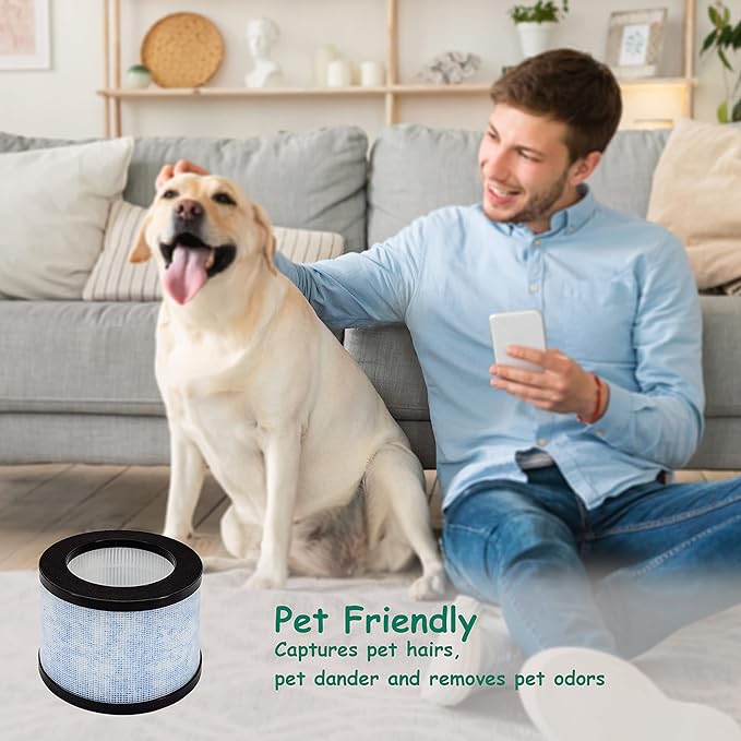 MK01/DH-JH01 True HEPA Replacement Filter, Compatible with AROEVE MK01 & MK06 and Kloudi Air Purifier DH-JH01, Intelabe EPI080/EP1080, and Elechomes EPI081/EP1081 Air Purifier, 2Pack