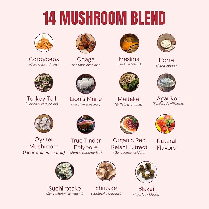Troomy Daily 14 Mushroom Blend Gummies - Great Tasting Natural Mango Strawberry Flavor, Gelatin-Free, Gluten-Free, Vegetarian - 60 Count