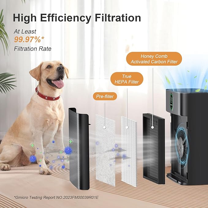 MORENTO Air Purifier for home Large Rooms up to 1076 ft2, Wi-Fi and Alexa compatible, PM2.5 Air Quality Display, Auto Mode, HEPA Filter Removes Dust, Pollen, Smoke 1 Pack +2 Pack Filters(Black)