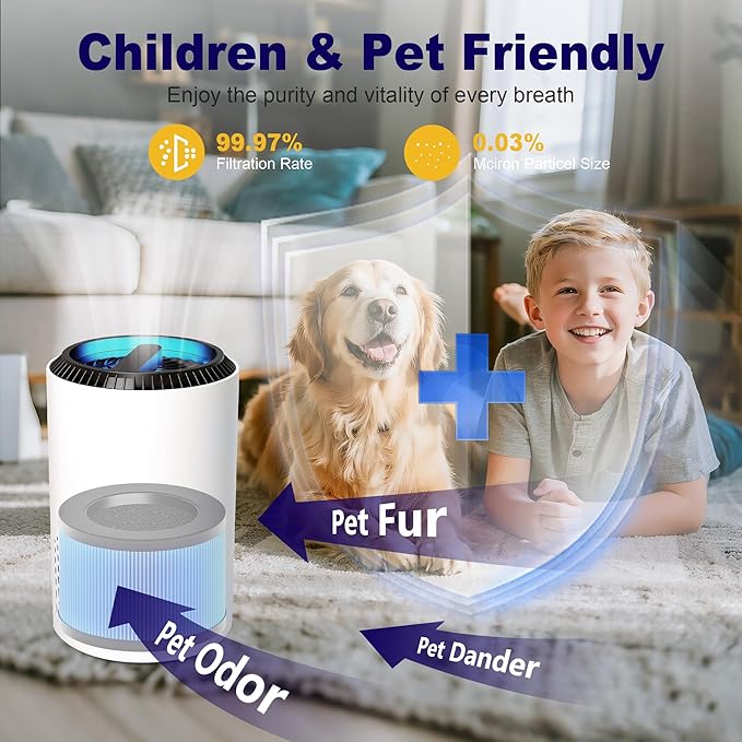 MK01 & MK06 True HEPA Filter Replacement Compatible with Aroeve MK01, MK06, ToLife TZ-K1 and Kloudi DH-JH01 Air Purifier, Standard Version, Blue, 2 Pack