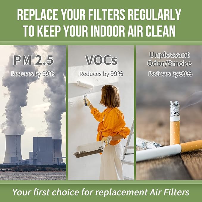 AP-B102 Replacement Filter Compatible with Alexapure Breeze Air Pu-rifier AP-B102 and 3049 Filter Set, 2 Main Filters and 2 Activated Carbon Filters Included