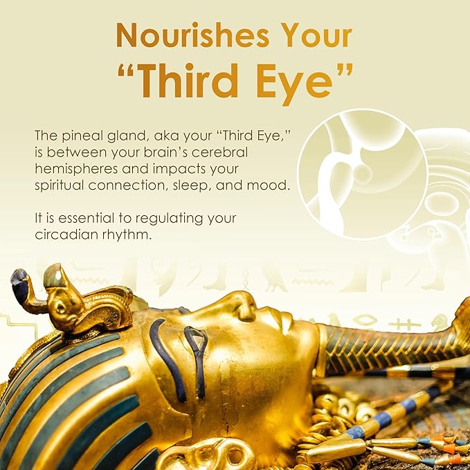 Ultra-Pure, 99.9% Liquid Gold - 24K Monoatomic Gold Ormus - Third Eye Awakening, Pineal Gland Decalcification, Awaken DNA, Unlock Light Speed Manifestation - Pharaoh's Nectar XT, 2 Pack