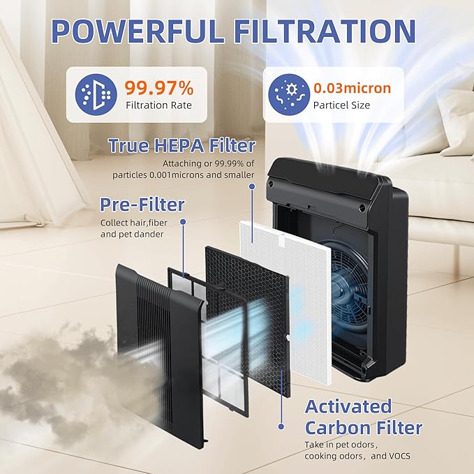 116130 HEPA Replacement Filter H for Winix 5500-2 Am80 Plasmawave Air Purifier,H13 True HEPA High-Efficiency Activated Carbon Filter,2 Combon Set