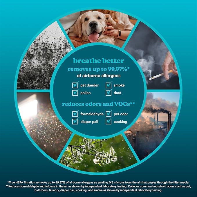 Homedics True HEPA Replacement Filter, Compatible with Homedics Air Purifier AP-T200 and AP-T2503 Dust Remover, Air Cleaner, Remove Household Odors, Activated Carbon Filters, Remove Pet Odors