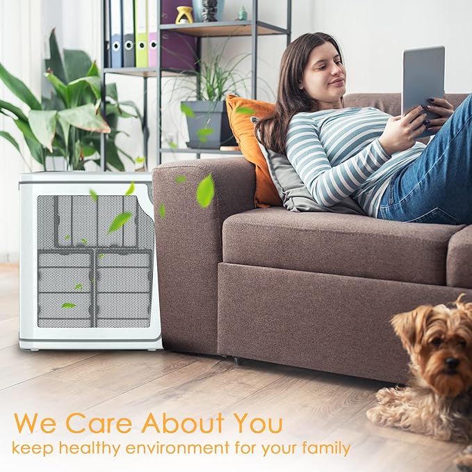 Improvedhand HAPF600 HEPA Filter Replacement for Hol-mes Air Purifier, Replace HAPF600D, HAP615, HAP625, HAP650, HAPF600D-U3, HAP725, HAP750 Filter B, 3 HEPA Filters & 3 Carbon Pre-filters