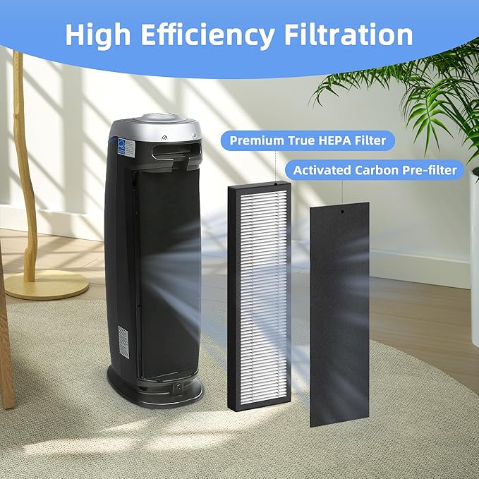 2 Pack FLT4825 Filter B Replacement for FLT4825 Replacement Filter, Compatible with Air Purifier AC4825 AC4300 AC4800 AC4900 AC4850, 2 Filters + 8 Carbon Filters