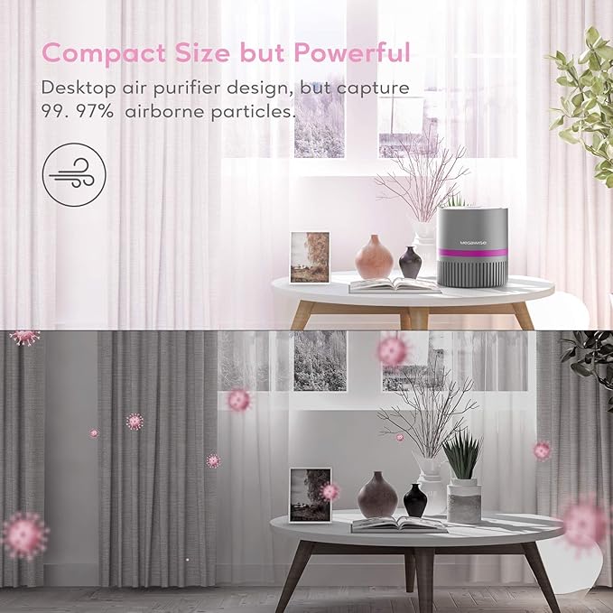 MEGAWISE Air Purifier for Home Bedroom Small Room Office, 3-IN-1 Filtration Air Cleaner for Smoke, Dust, Pet Dander, 100% Ozone Free, Available for California